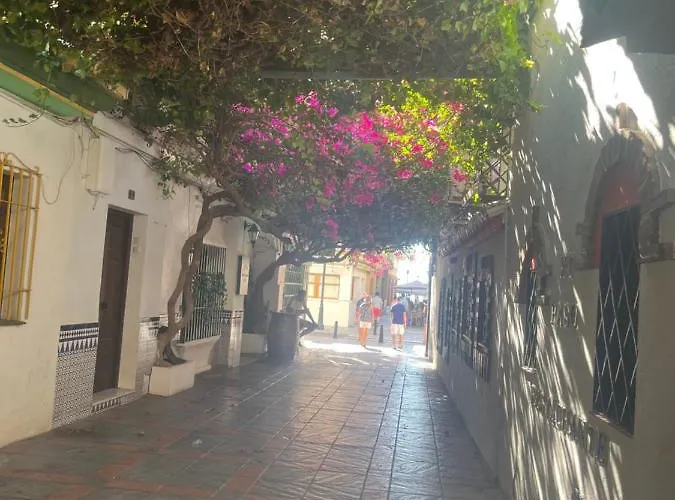 Appartement Carolina *